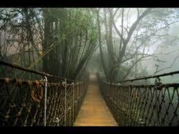Bellikkal Bellikkal Travel Guide Tourist placesBellikkal Photos Bellikkal