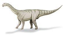 Bellusaurus httpsuploadwikimediaorgwikipediacommonsthu