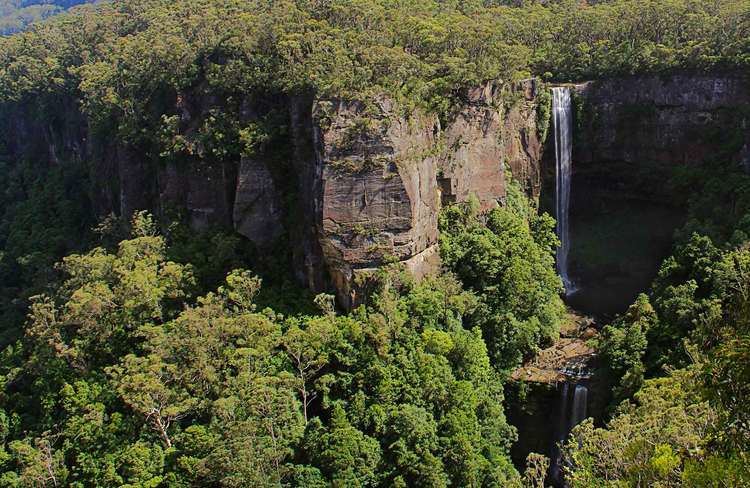 Belmore Falls httpswwwnationalparksnswgovaumedia82176