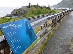 Beluga Point Site Wildlife Viewing at Beluga Point Anchorage Area Alaska Department