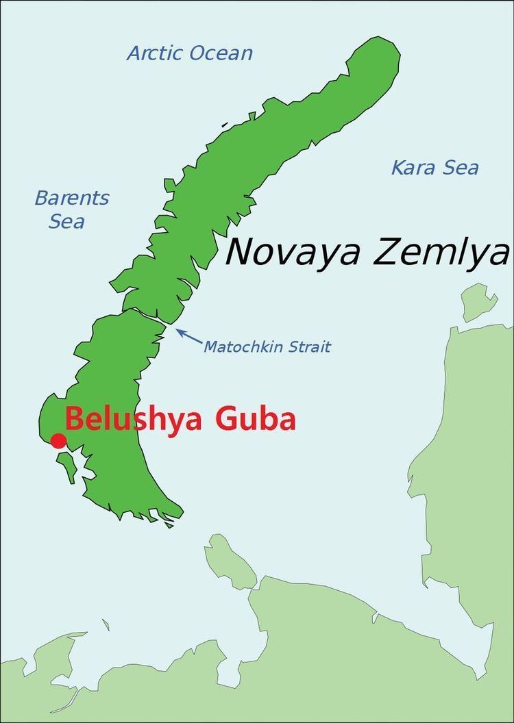 Belushya Guba