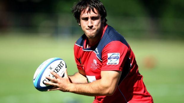 Ben Daley Queensland Reds prop Ben Daley makes Super Rugby switch to Western Force