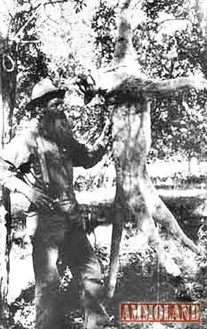 Ben Lilly The Lion Man Ben Lily One of Americas Greatest Hunting Legends