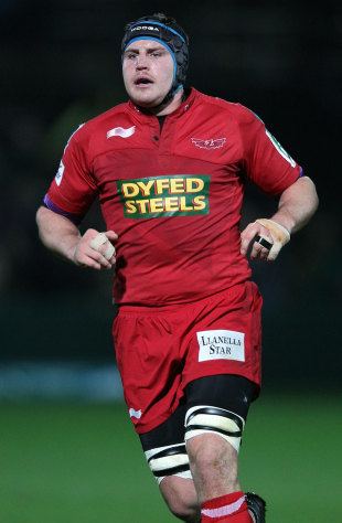 Ben Morgan Scarlets No8 Ben Morgan chooses England over Wales Live Rugby