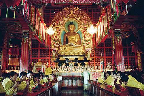 Benchen Monastery Benchen Monastery Kathmandu Nepal Tenga Rinpoche 3997 Save Tibet