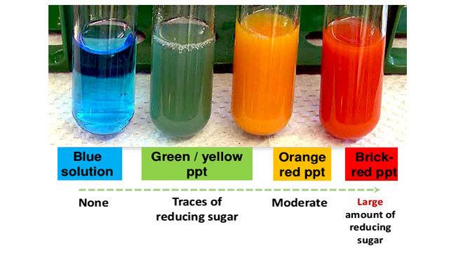 Different colors of Benedict's reagent inside flasks along with the sugar content that each color corresponds to.