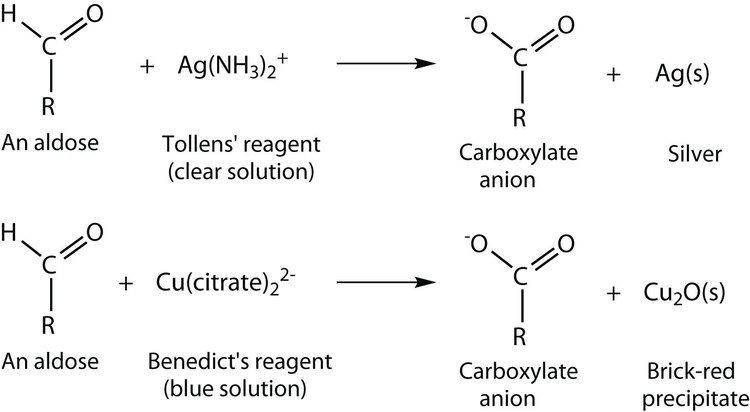 A chart that shows how Benedict's reagent work.