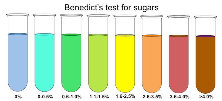 Different colors of Benedict's reagent inside flasks and the amount of sugar that each color corresponds.