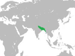 Bengal Sultanate Bengal Sultanate Wikipedia