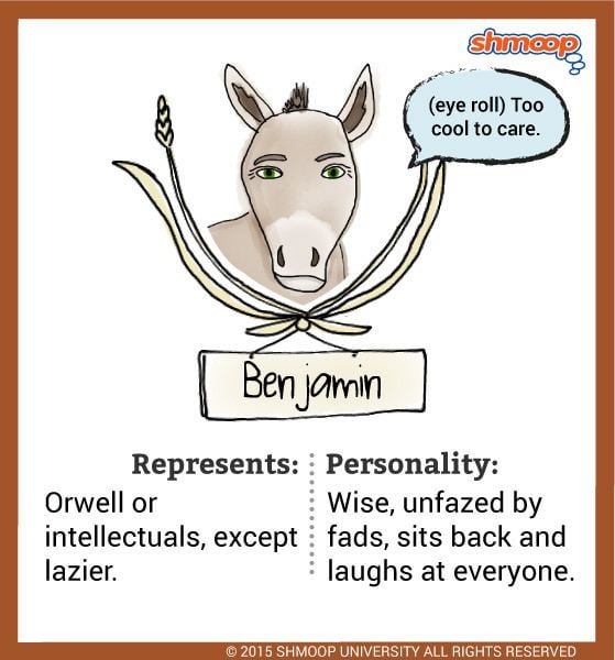 Benjamin (Animal Farm) Benjamin a donkey in Animal Farm Chart