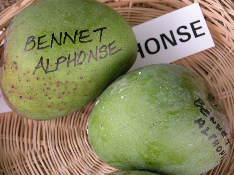 Bennet Alphonso