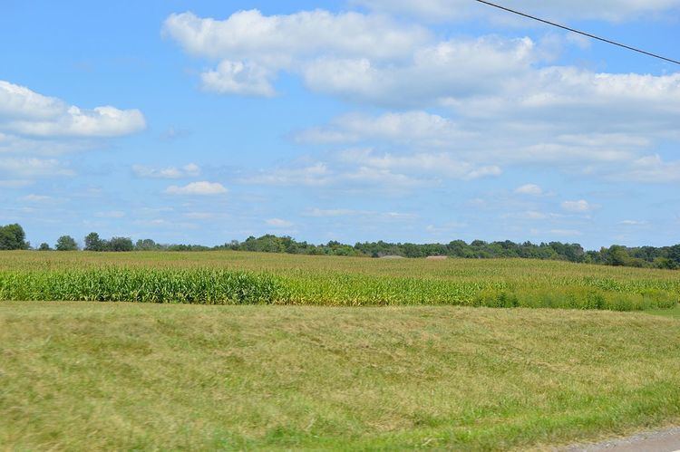 Bennington Township, Morrow County, Ohio