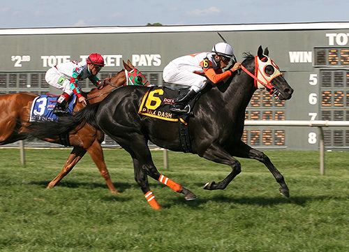 Ben's Cat Ben39s Cat takes charge again in Grade 3 Parx Dash Maryland Horse