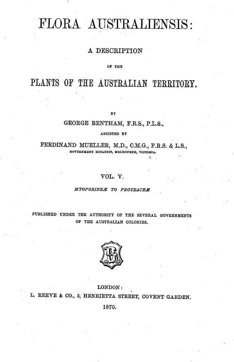 Bentham's taxonomic arrangement of Banksia