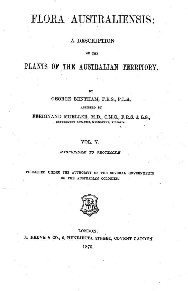 Bentham's taxonomic arrangement of Dryandra