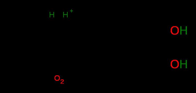 Benzene 1,2-dioxygenase