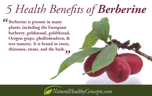 Berberine 5 Amazing Health Benefits of Berberine