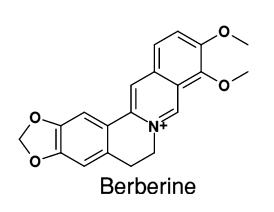 Berberine Exciting New Treatment for PCOS Berberine PCOS Diva