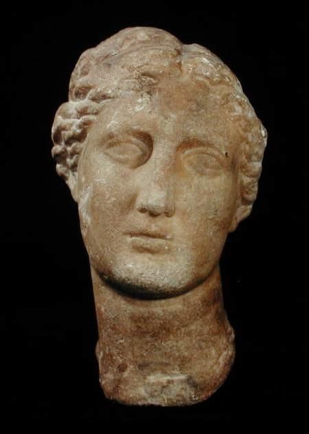 Berenice II of Egypt Head of Berenice II 269221 BC Ptolemaic Period