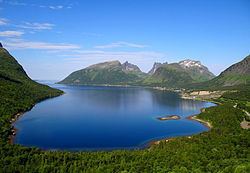 Berg, Norway httpsuploadwikimediaorgwikipediacommonsthu