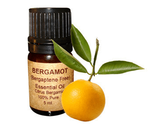 Bergamot essential oil wwwhealthbenefitstimescom9uploads201602Heal