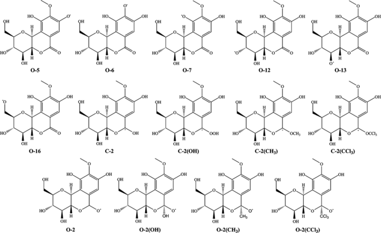 Bergenin Antioxidant activity of bergenina phytoconstituent isolated