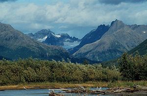Beringia upland tundra httpsuploadwikimediaorgwikipediacommonsthu