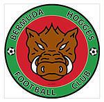 Bermuda Hogges httpsuploadwikimediaorgwikipediaenthumb8