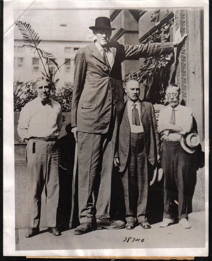 Bernard Coyne (giant) Bernard Coyne 8 feet 2 inches Genesis 64 There were giants in
