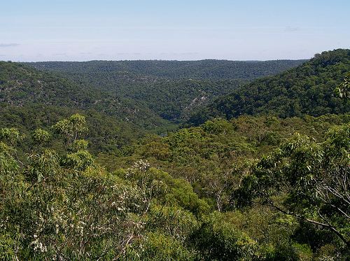 Berowra, New South Wales