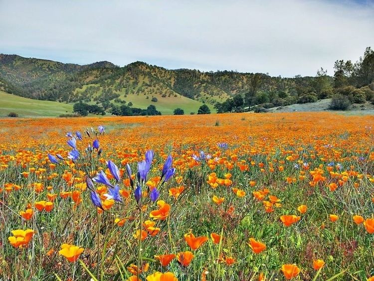 Berryessa Snow Mountain National Monument Slideshow Berryessa Snow Mountain New national monument coming to