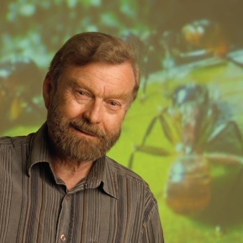 Bert Hölldobler Pulitzer Prize winner Bert Hlldobler to speak Oct 28 on ant