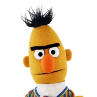 Bert (Sesame Street) Sesame Street Bert amp Ernie39s Imagination Adventure Characters