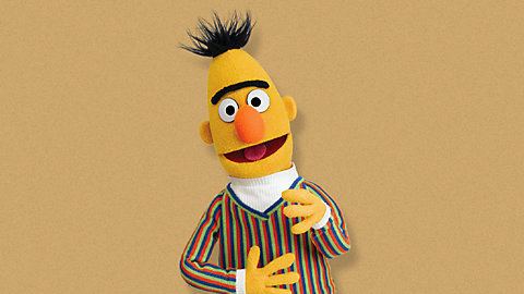 Bert (Sesame Street) Sesame Street Bert39s Pigeon Search LeapFrog