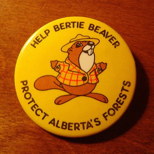 Bertie Beaver Help Bertie Beaver protect Alberta39s forests Flickr