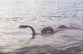 Bessie (lake monster) Bessie the Lake Erie monster The National Paranormal Society