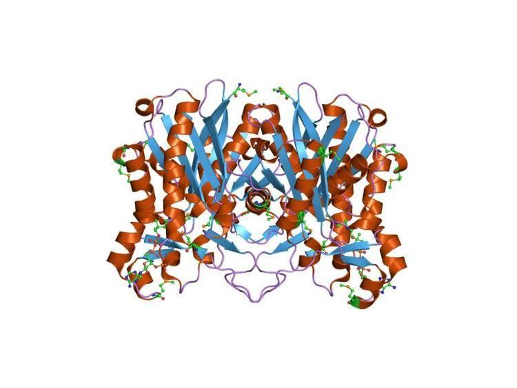 Beta-ketoacyl-(acyl-carrier-protein) synthase III