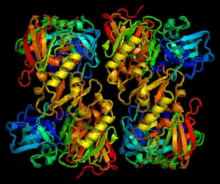 Beta-secretase 2