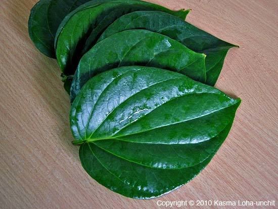 Betel Miang Kam uses Bai Cha Plu NOT Betel Leaf Bai Plu Thai Food and