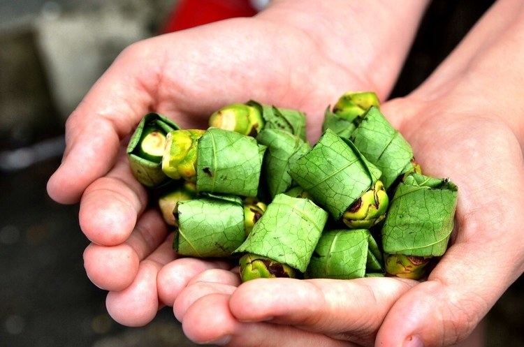 Betel The Day I Chewed Betel Nuts in Taiwan