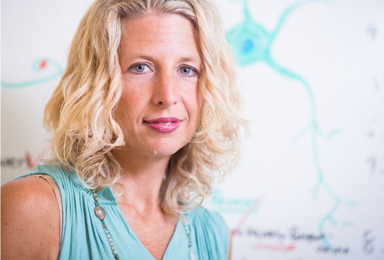 Beth Stevens Beth Stevens Casting immune cells as brain sculptors Spectrum