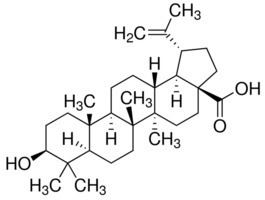 Betulinic acid Betulinic acid 98 HPLC SigmaAldrich