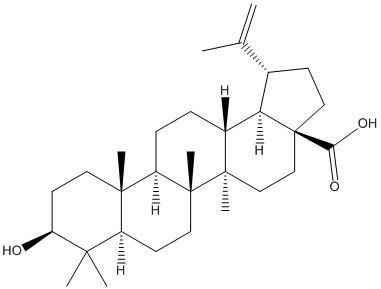 Betulinic acid Betulinic acid CAS 472151 BioVision Inc