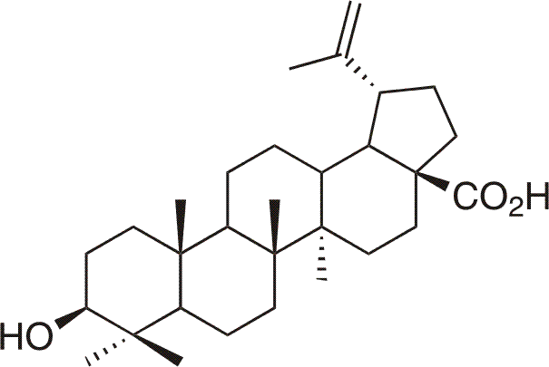 Betulinic acid RNDr Jan arek PhD Betulinines