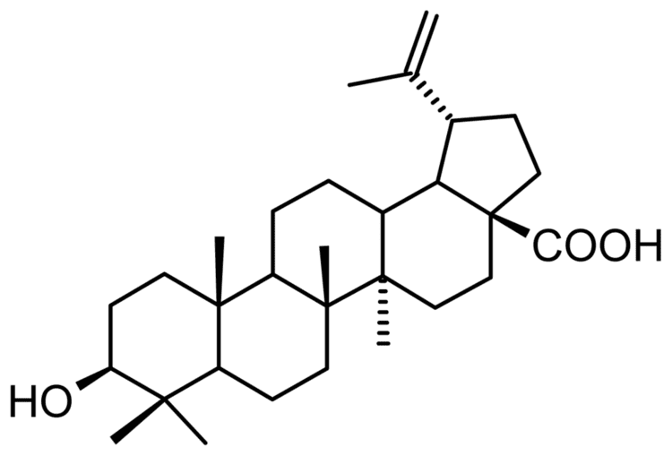 Betulinic acid IJMS Free FullText Betulinic Acid in Complex with a Gamma