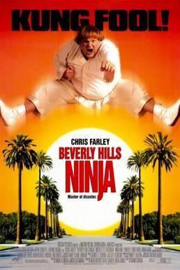 Beverly Hills Ninja Beverly Hills Ninja Wikipedia