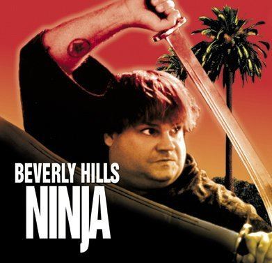 Beverly Hills Ninja Beverly Hills Ninja 2 Moviehole