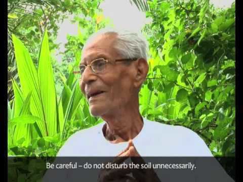 Bhaskar Save Farming The Gandhian Way A Tribute to Shri BHASKAR
