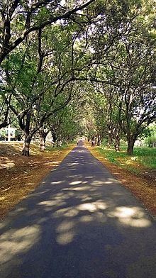 BHEL Township, Hyderabad httpsuploadwikimediaorgwikipediacommonsthu