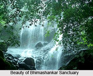 Bhimashankar Wildlife Sanctuary Bhimashankar Wildlife Sanctuary